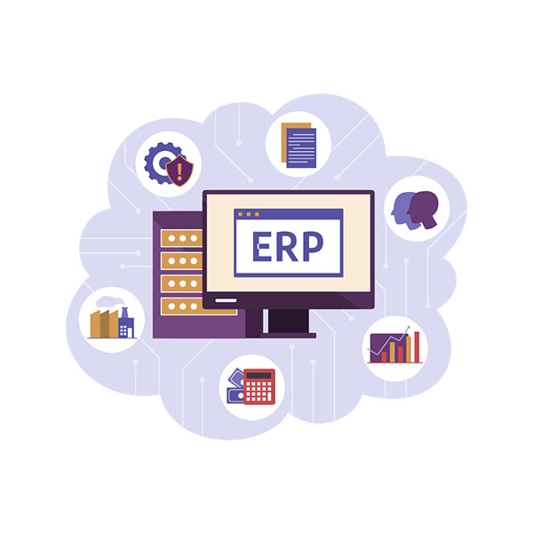 Enterprise Resource Planning