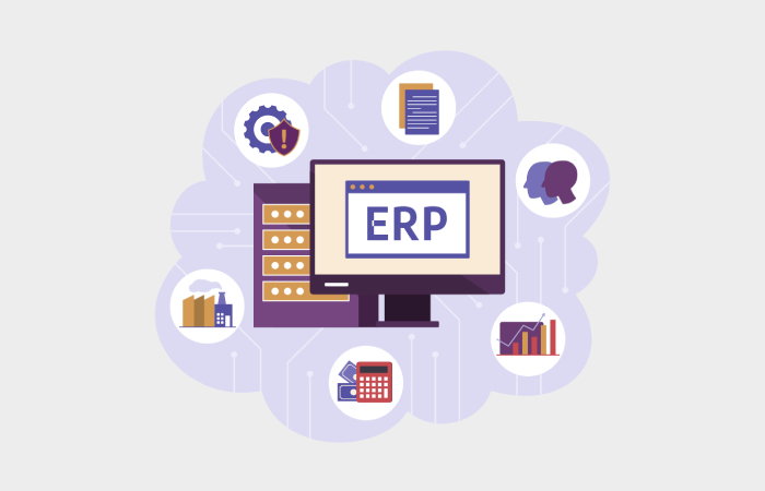 Enterprise Resource Planning (ERP)